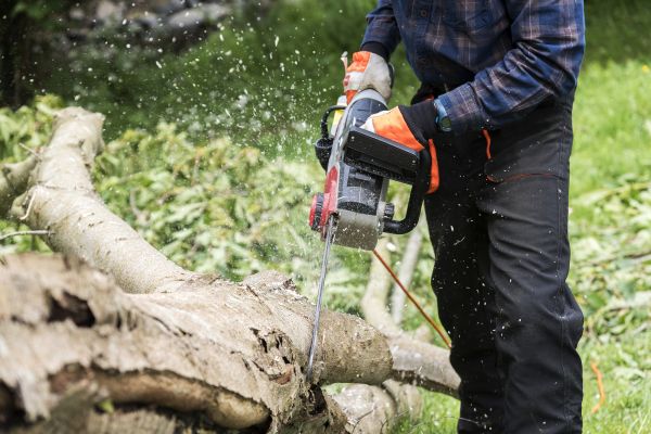 Branch Removal Service in Lancaster