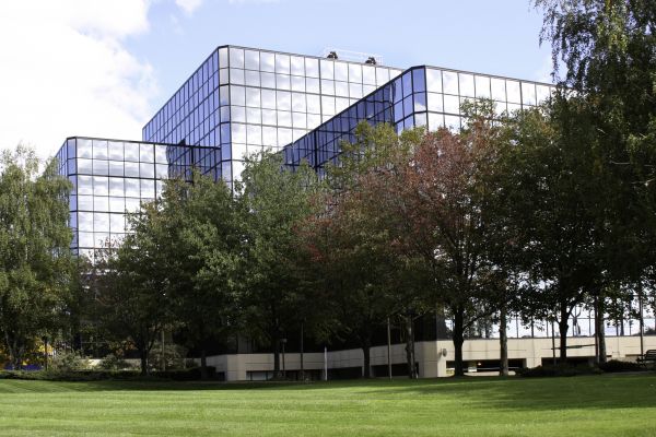 Commercial Tree Trimming in Lancaster
